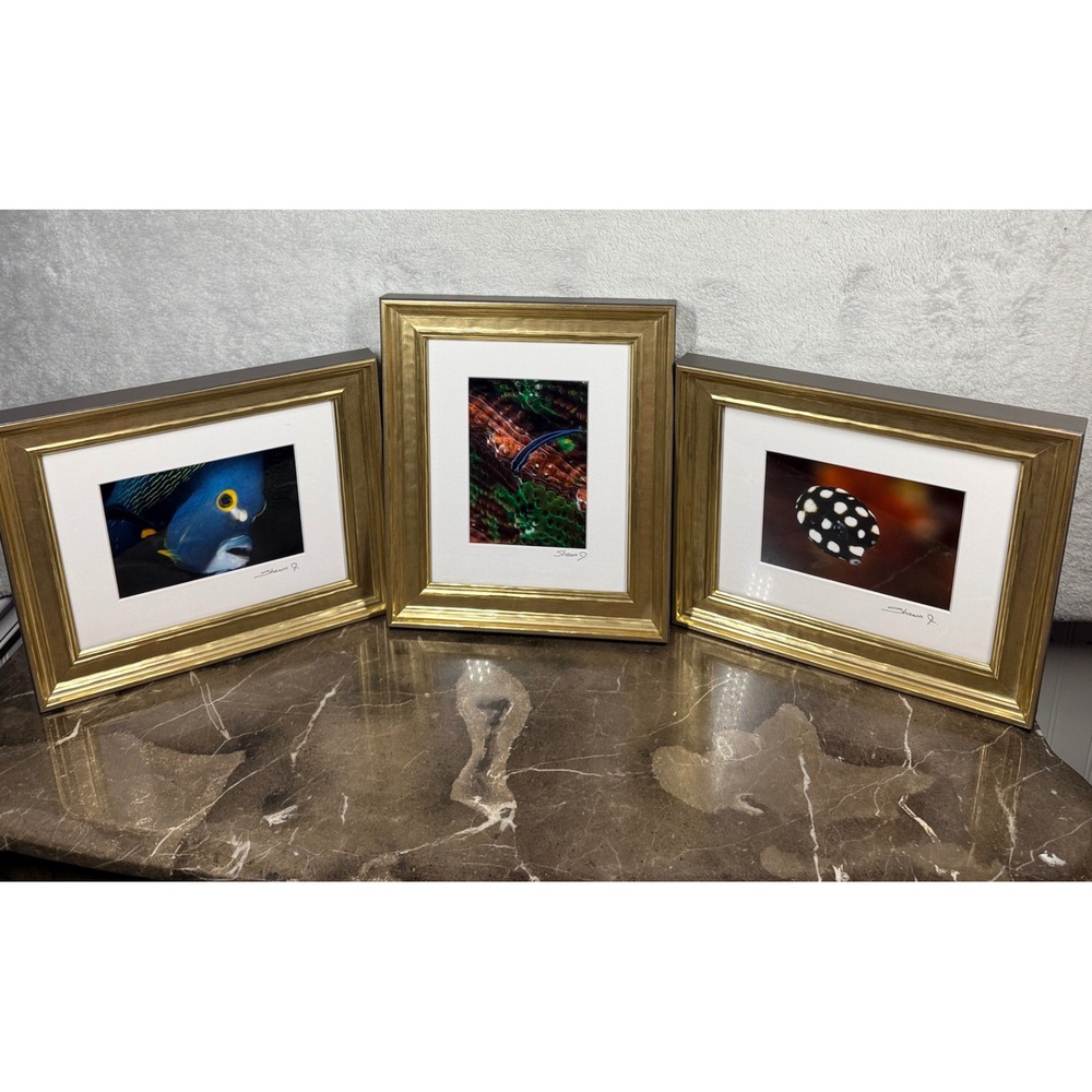 Shawn J Underwater Photography Set 3 10x12 Gold Framed Signed Fish Marine Art